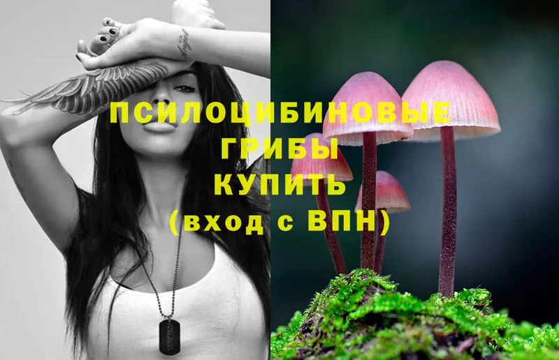 как найти закладки  Ковров  Псилоцибиновые грибы Psilocybine cubensis 